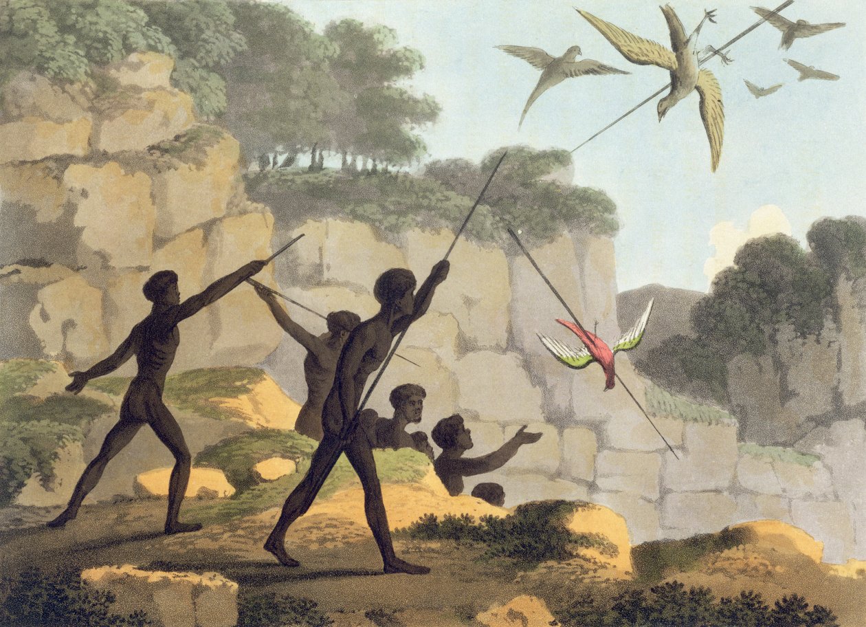 Rzucanie włócznią, aborygeni polujący na ptaki z Nowej Południowej Walii grawerowane przez Matthew Dubourga (f.1813-1820) wyd. 1813 autorstwa John Heaviside Clark