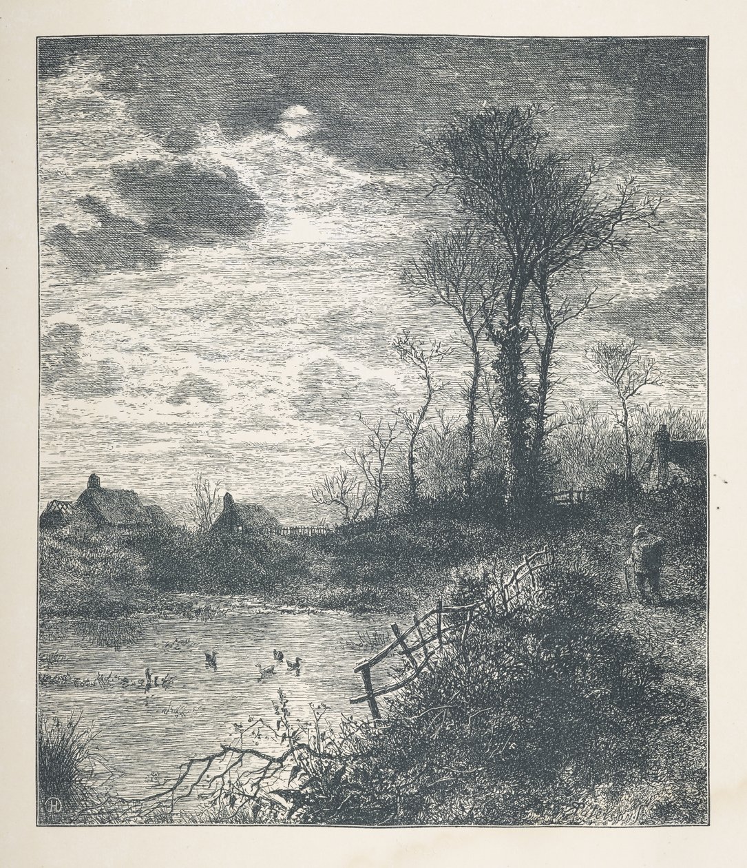 Tablica 23. Staw, z „Nature Pictures, seria trzydziestu oryginalnych ilustracji narysowanych na drewnie przez J.H. Della i rytowanych przez R. Patersona.John Henry Dell autorstwa John Henry Dell