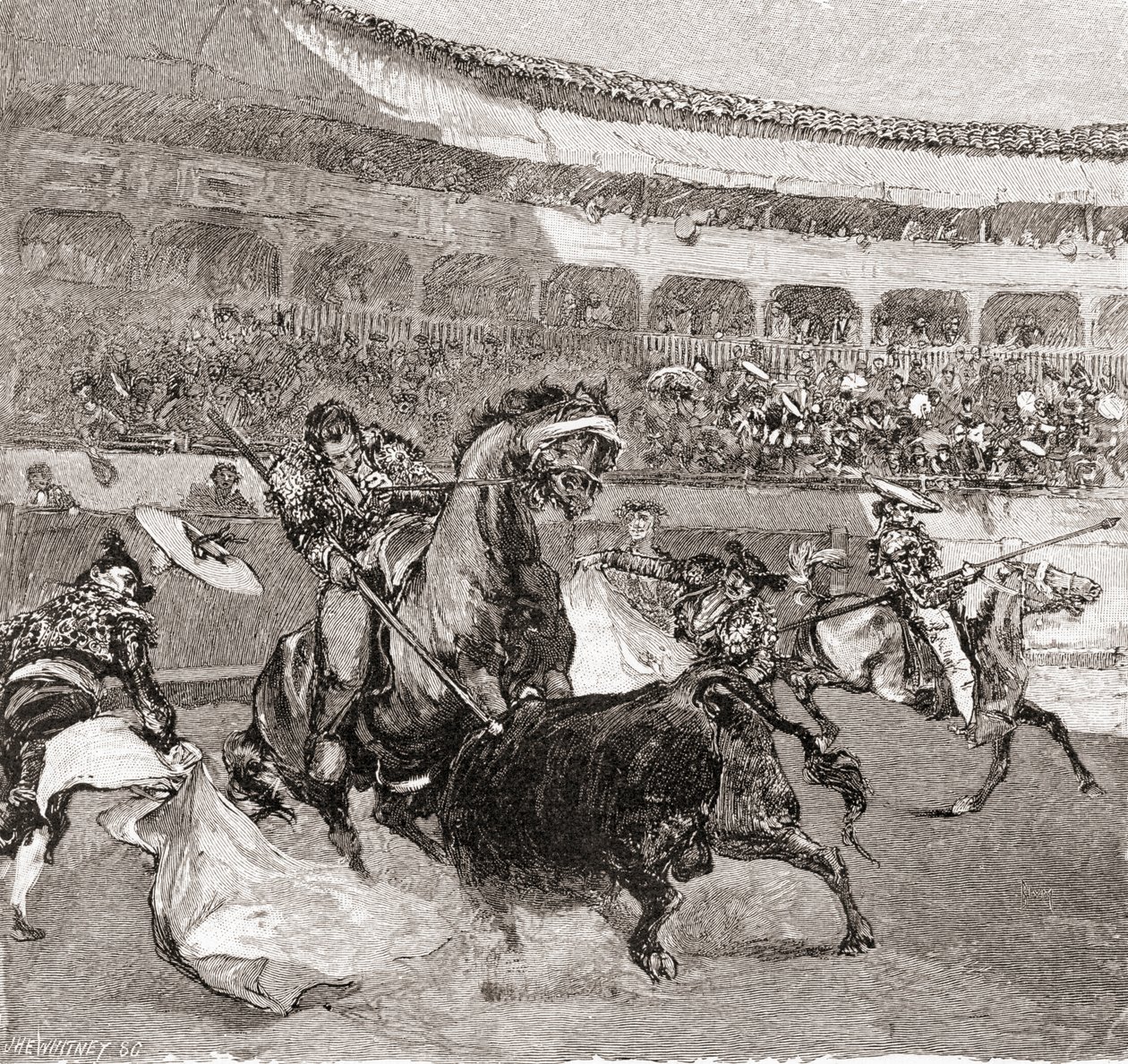 Walka byków w Sewilli, Hiszpania, z The Century Illustrated Monthly Magazine, opublikowanej w 1884 r. (drewno) autorstwa John Henry Ellsworth Whitney