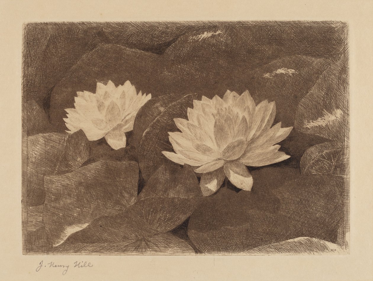 Lilie wodne autorstwa John Henry Hill