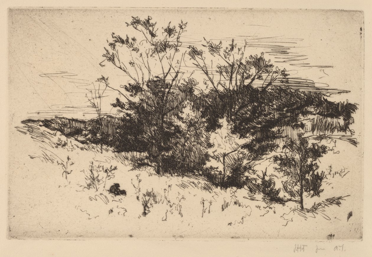 Jesienne Avondale autorstwa John Henry Twachtman