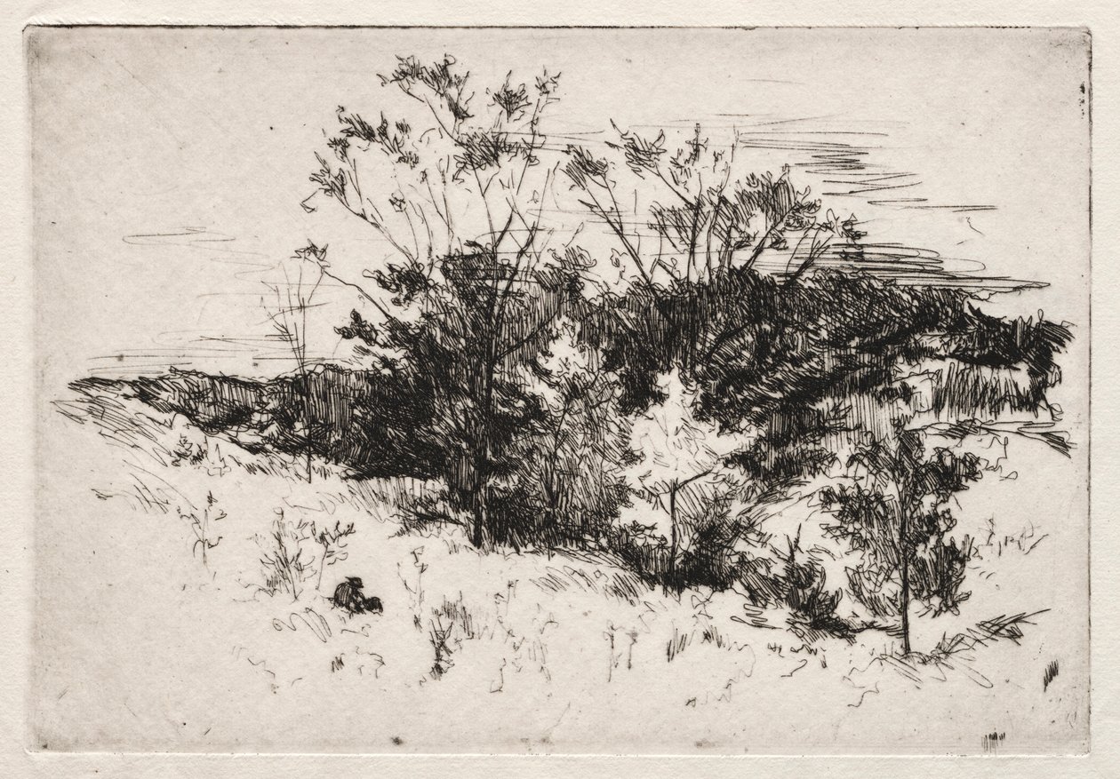 Krajobraz jesienny, 1879-80. autorstwa John Henry Twachtman