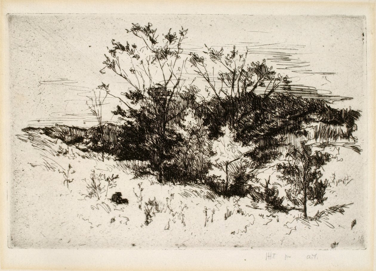 Krajobraz w pobliżu Cincinnati autorstwa John Henry Twachtman