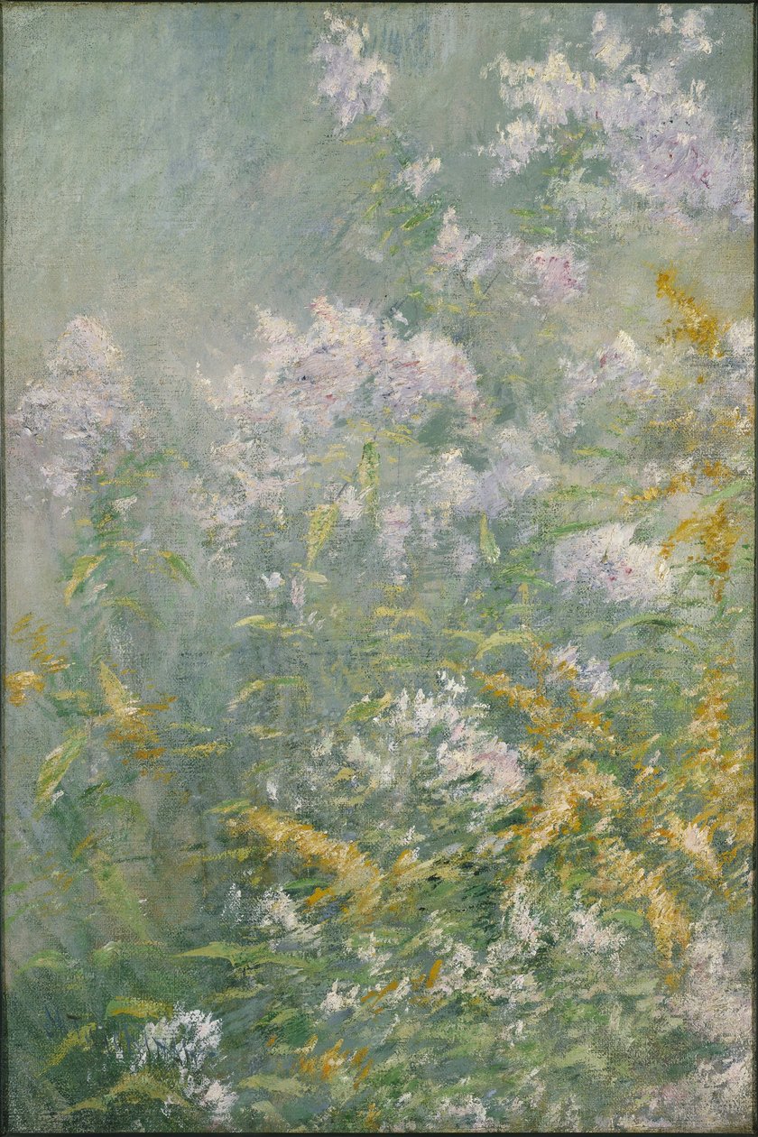 Kwiaty łąkowe (złoty pręt i dziki aster) autorstwa John Henry Twachtman