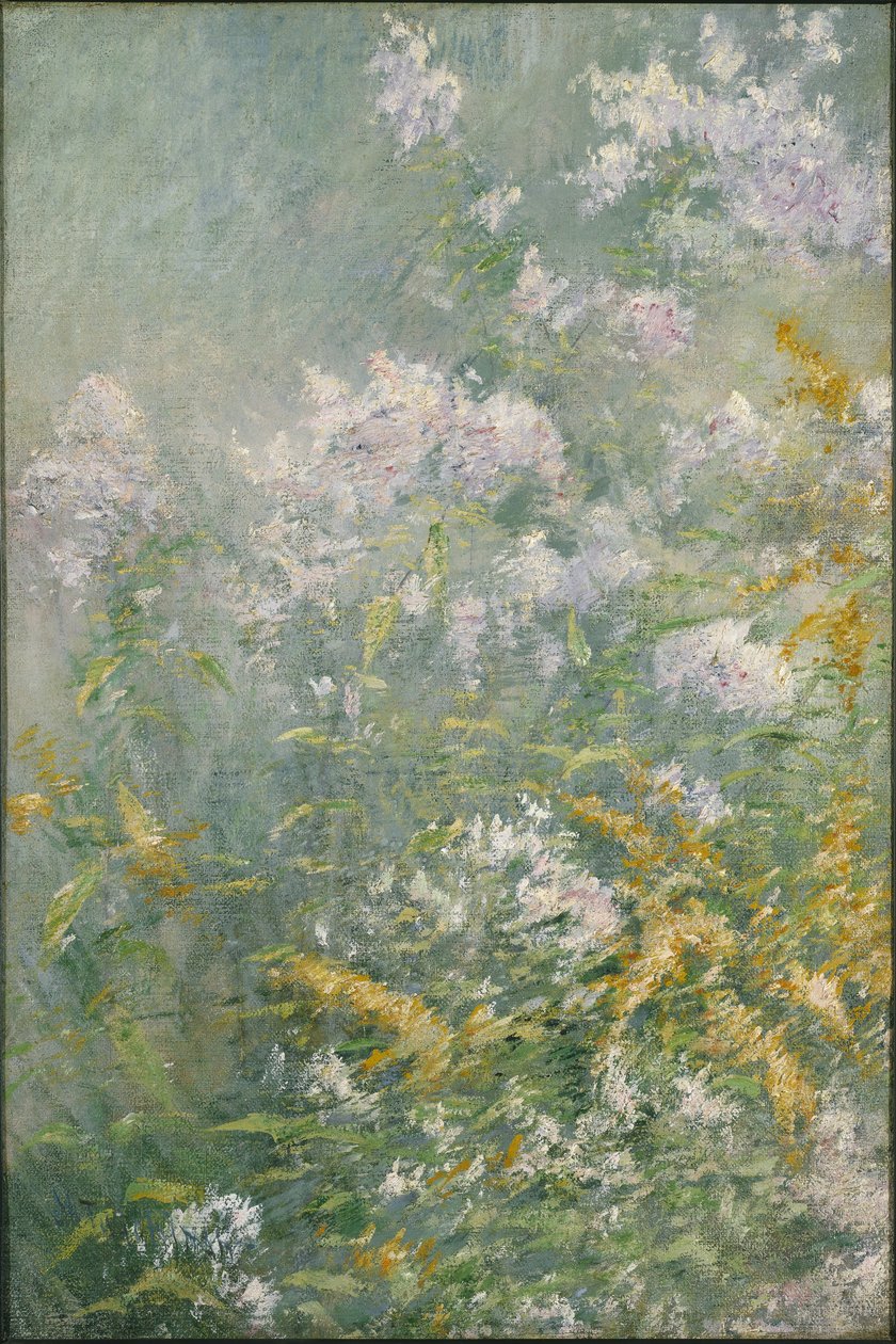 Kwiaty polne (Złota Różdżka i Dziki Aster), ok.1892 (olej na płótnie) autorstwa John Henry Twachtman