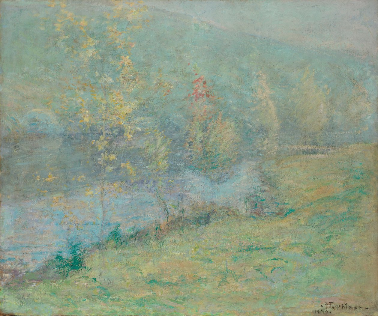 Mglisty majowy poranek, 1899. autorstwa John Henry Twachtman