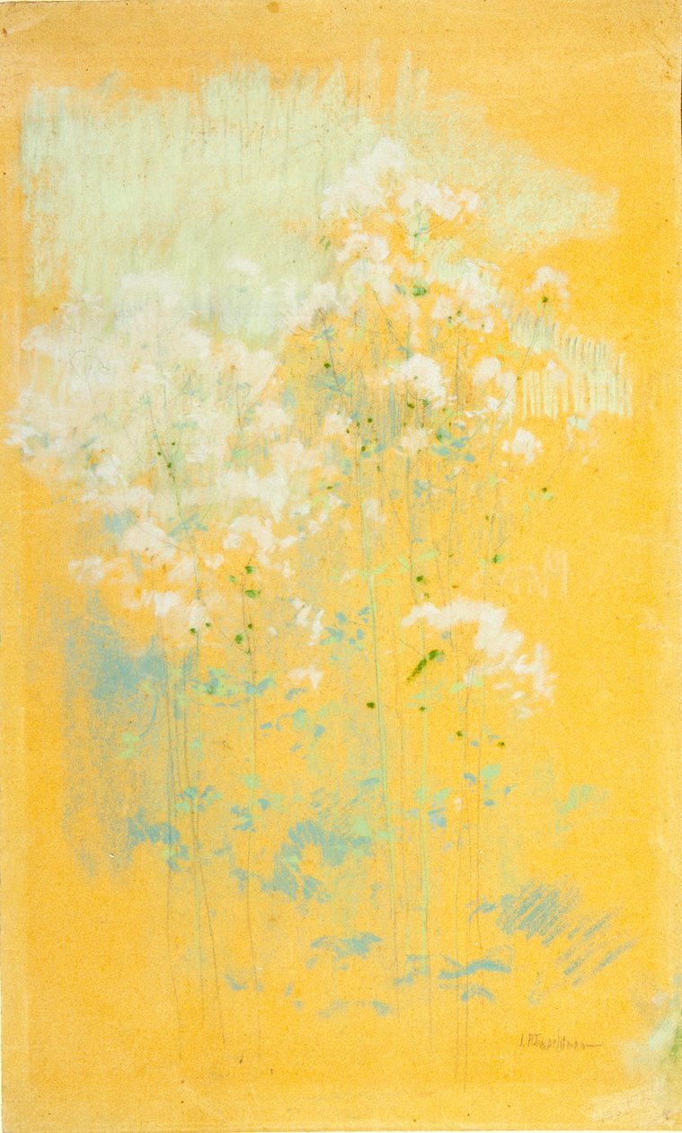Dzikie kwiaty autorstwa John Henry Twachtman