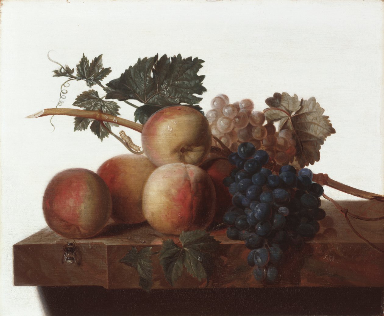 Martwa natura autorstwa John Johnston