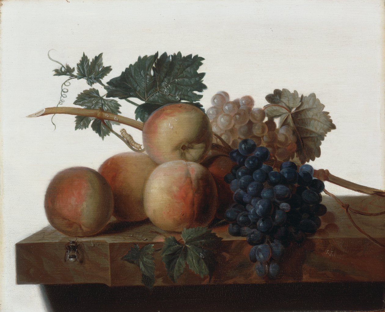 Martwa natura autorstwa John Johnston