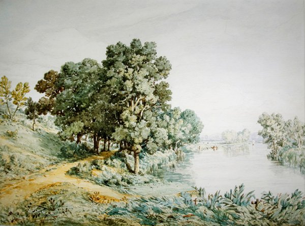 Postwick Grove nad rzeką Yare (akwarela na papierze) autorstwa John Joseph Cotman