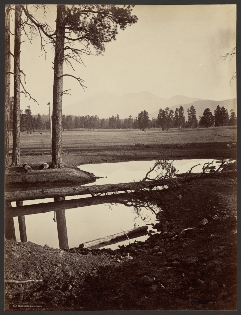 Góry San Francisco, Arizona autorstwa John K. Hillers