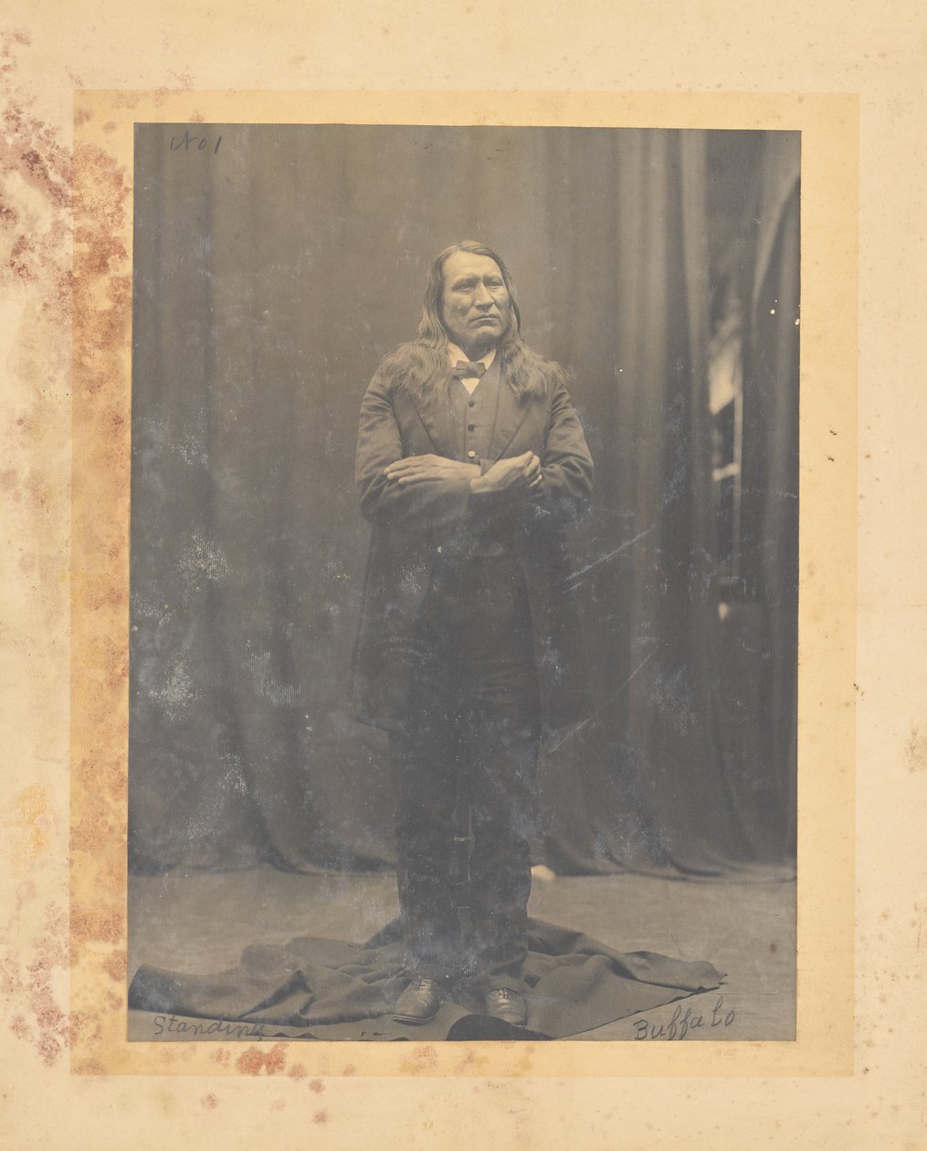 Stehender Büffel autorstwa John K. Hillers