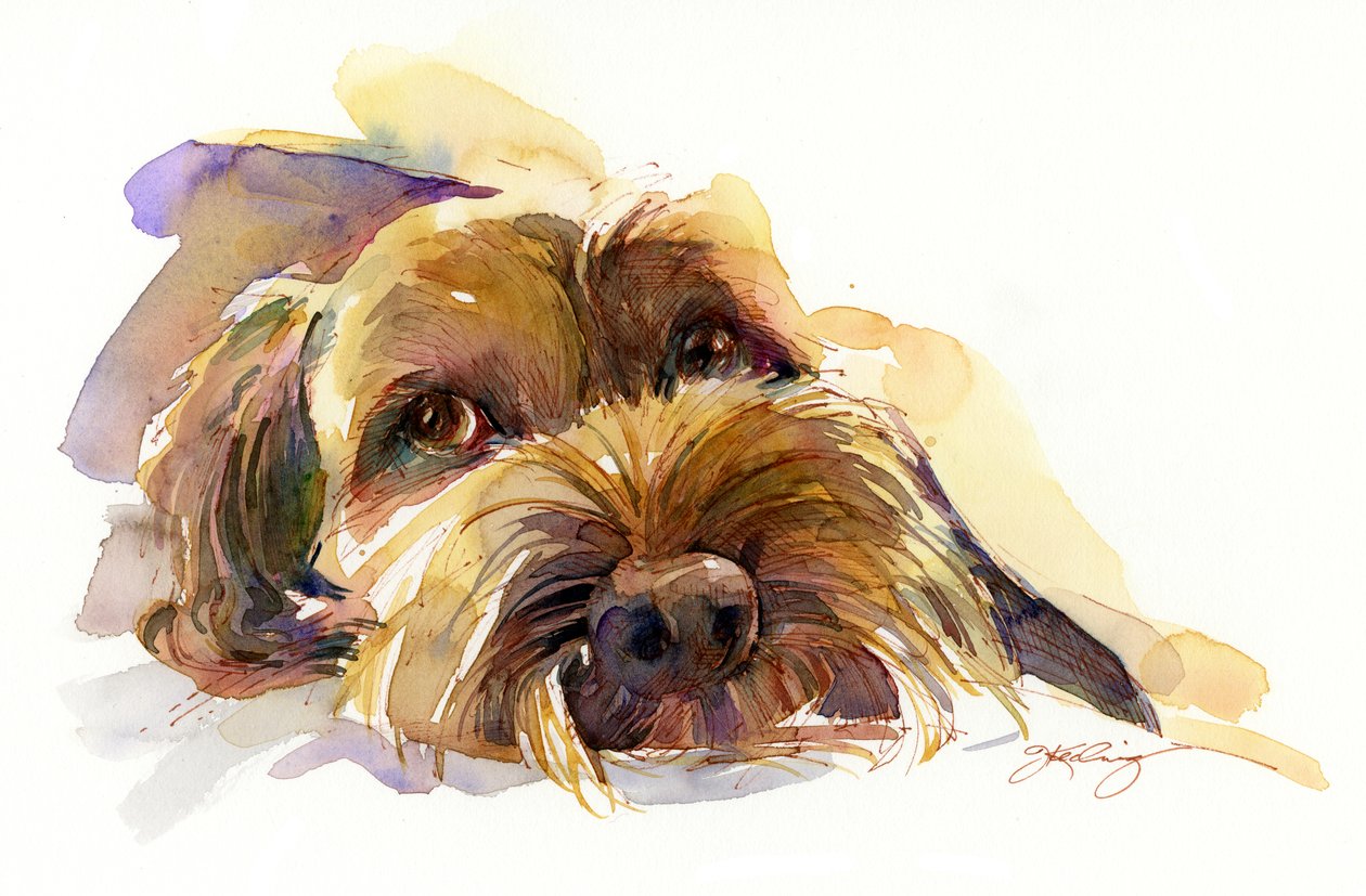 Portret Charliego, 2015 (akwarela) autorstwa John Keeling