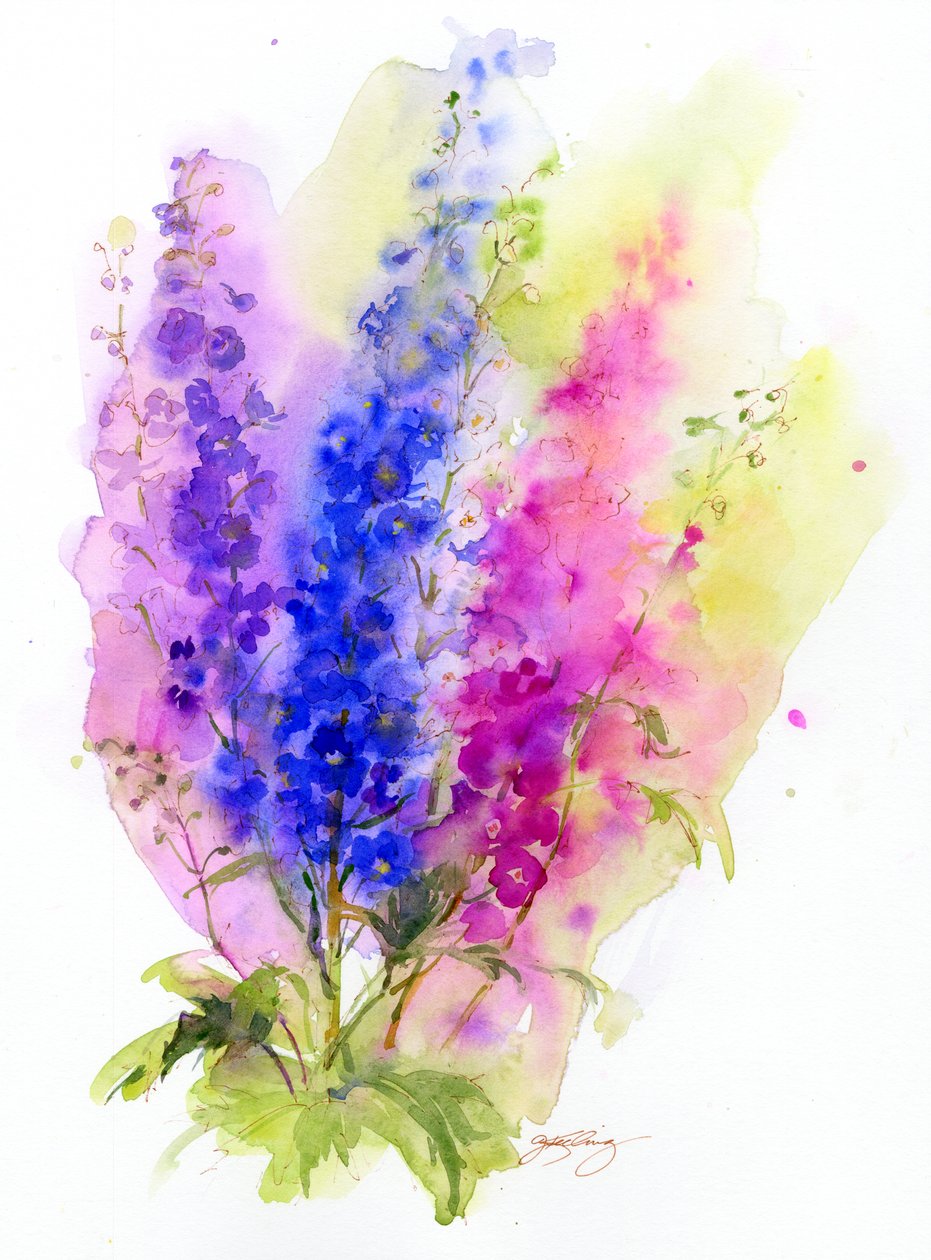 Delphinium, 2016, (akwarela) autorstwa John Keeling