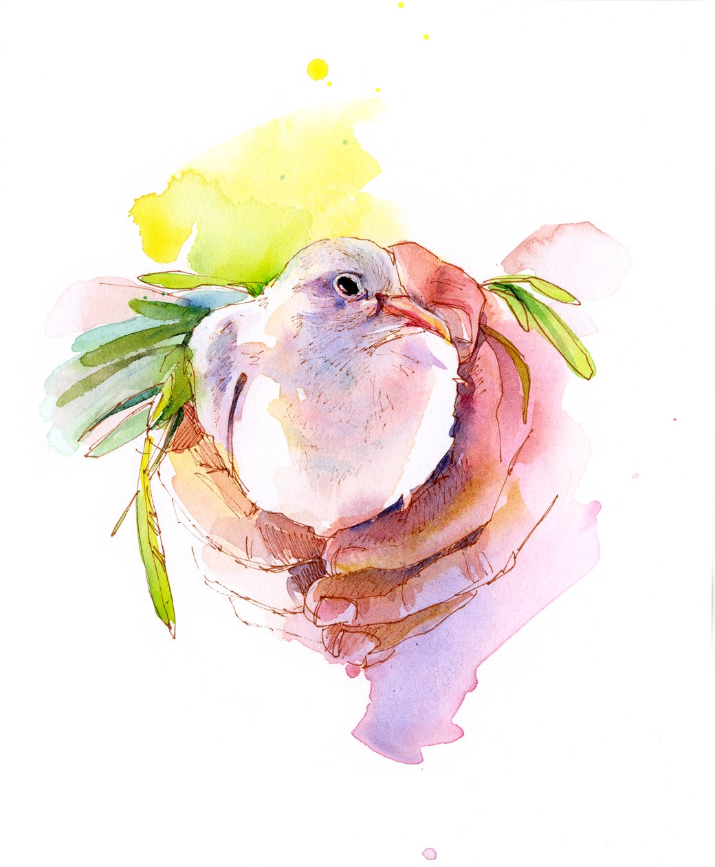 Gołąb pokoju, 2016, (akwarela) autorstwa John Keeling