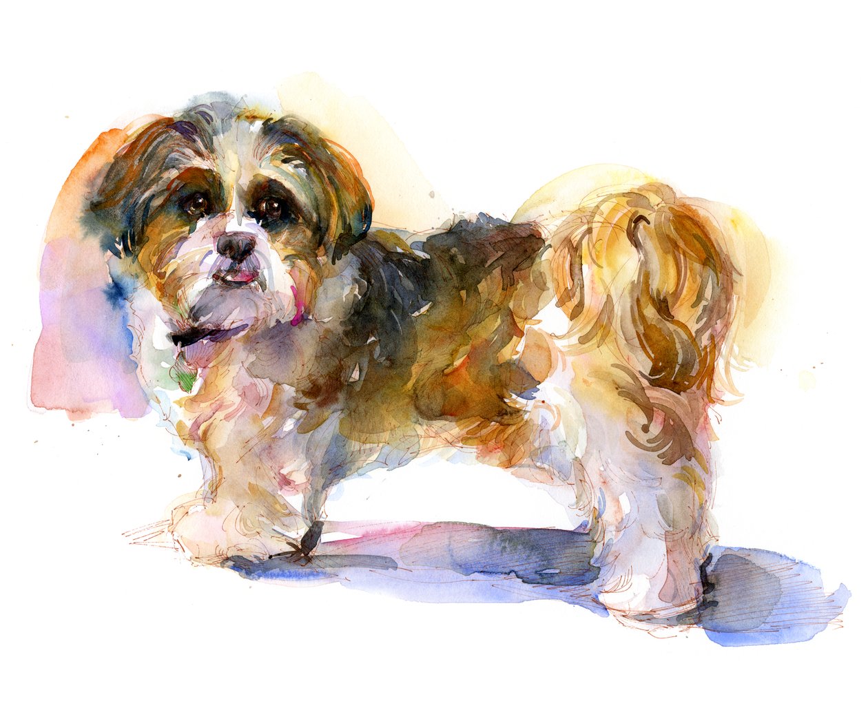 Portret Murphy