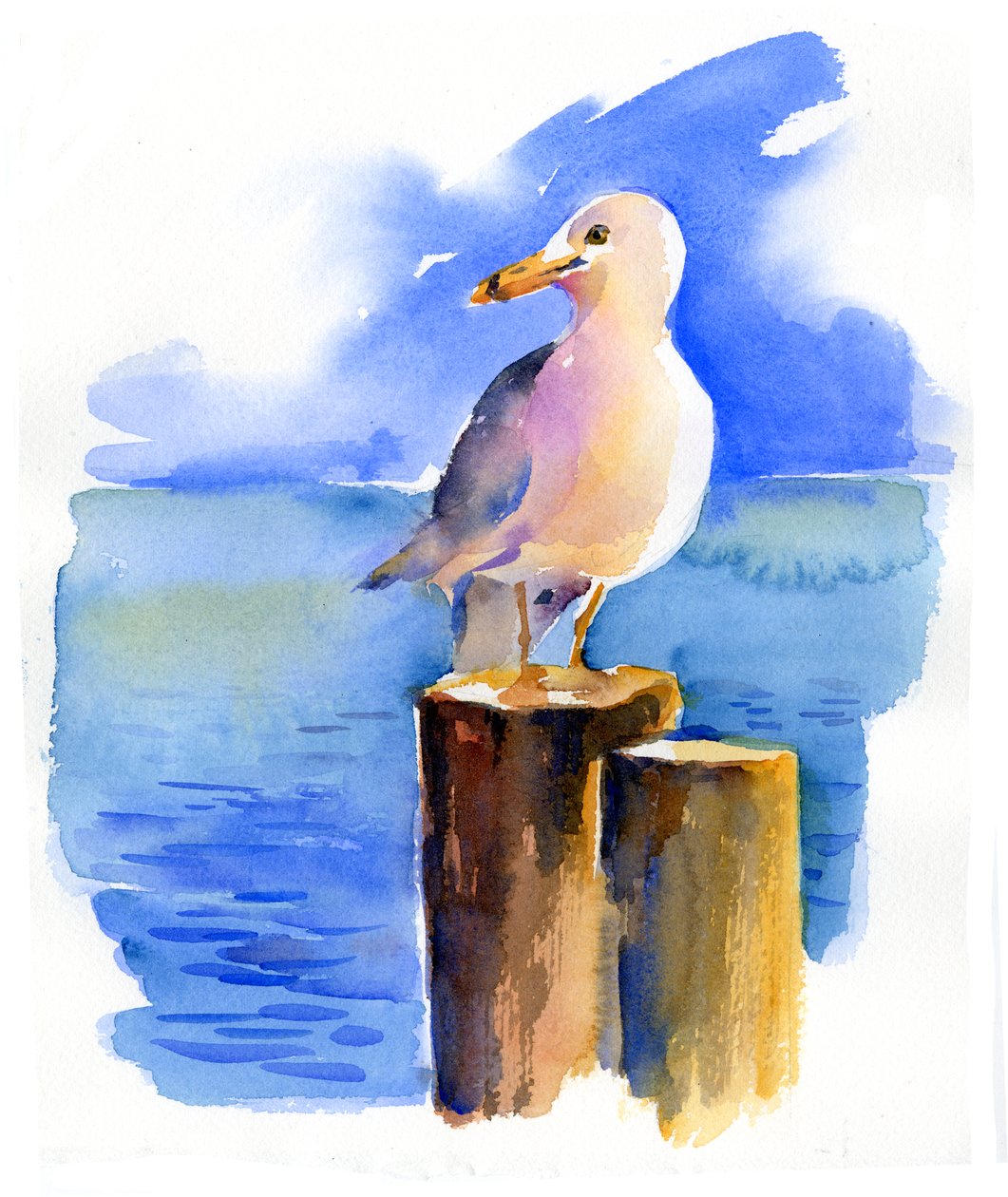 Mewa w porcie, 2014, (akwarela) autorstwa John Keeling