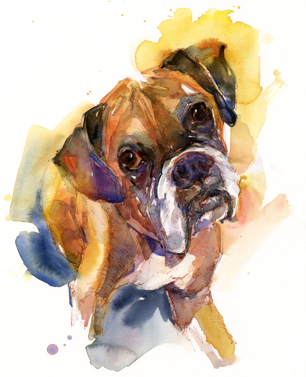 Portret Stanleya, 2016, (akwarela) autorstwa John Keeling
