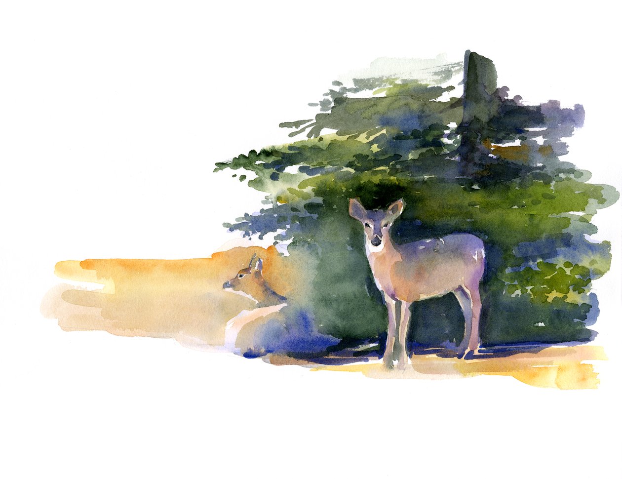 Dwa jelenie, 2014, (akwarela) autorstwa John Keeling