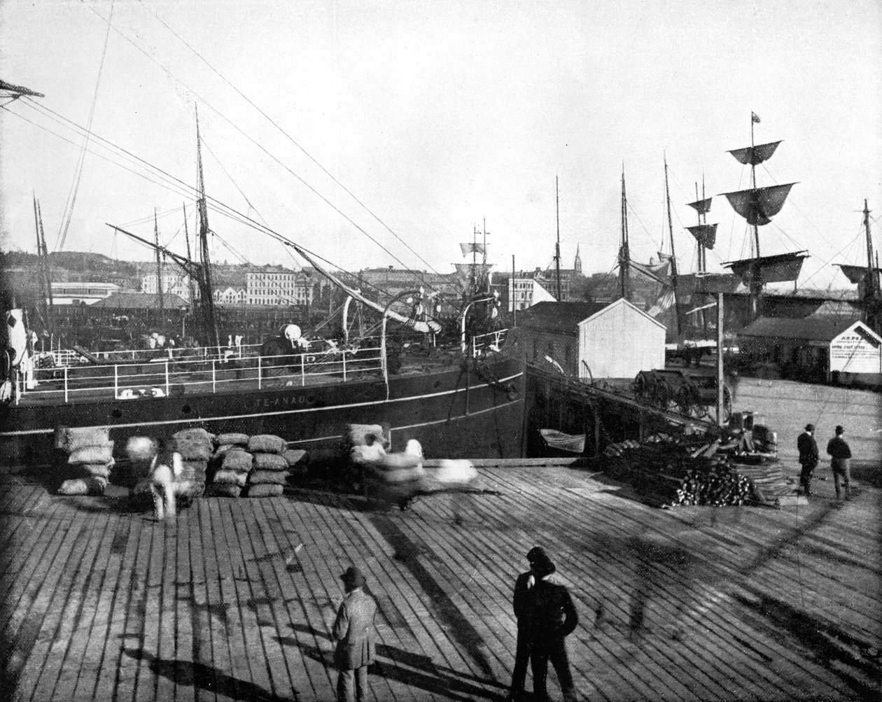 Port w Auckland, Nowa Zelandia, 1893. autorstwa John L. Stoddard