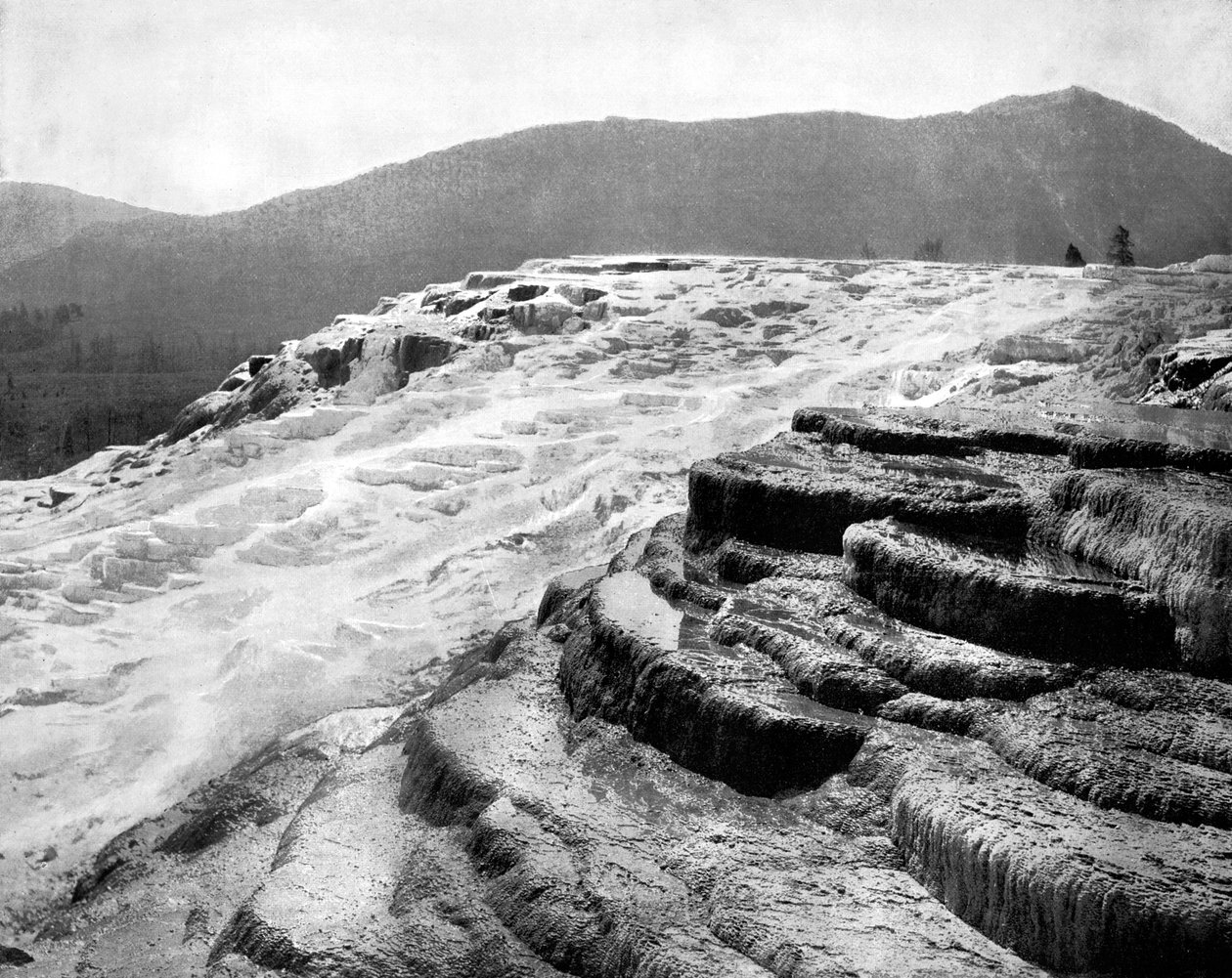 Mammoth Hot Springs, Park Narodowy Yellowstone, USA, 1893. autorstwa John L. Stoddard