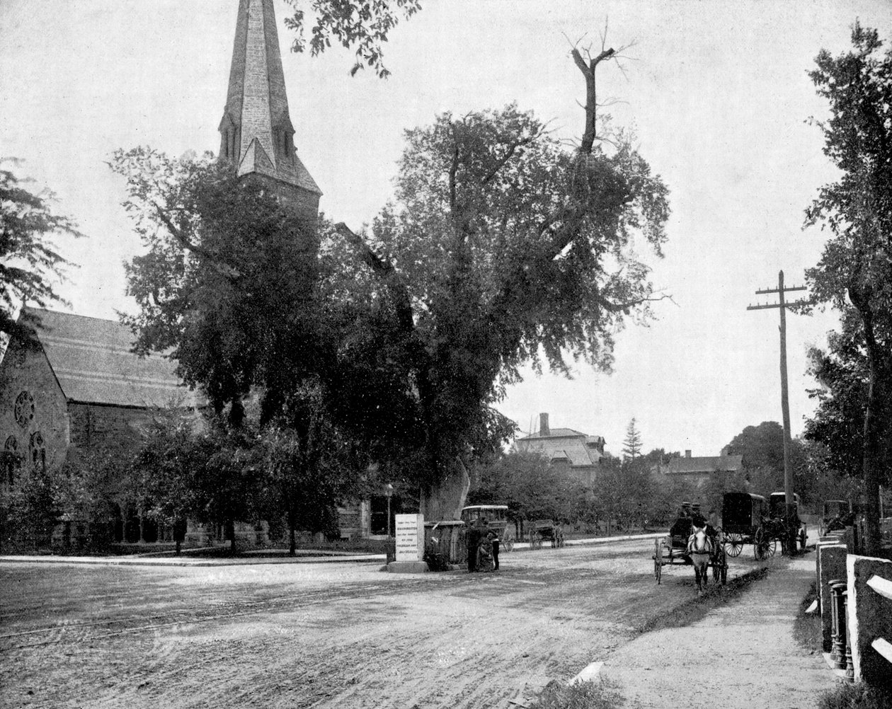 Washington Elm and Memorial Stone, Cambridge, Massachusetts, USA, 1893. autorstwa John L. Stoddard