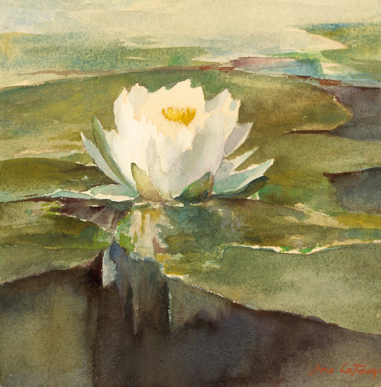 Lilia wodna w słońcu, ca. 1883. autorstwa John La Farge
