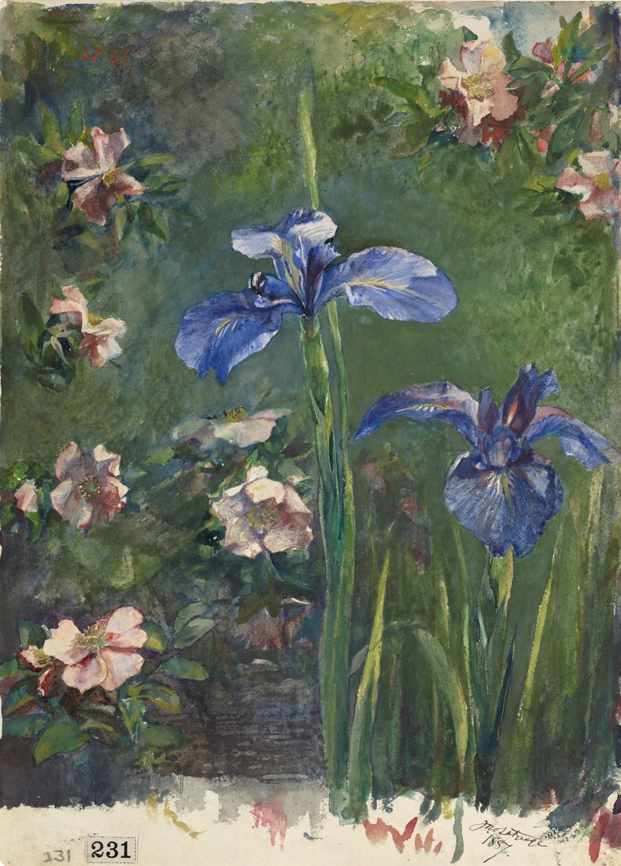 Dzikie róże i irysy, 1887. autorstwa John La Farge