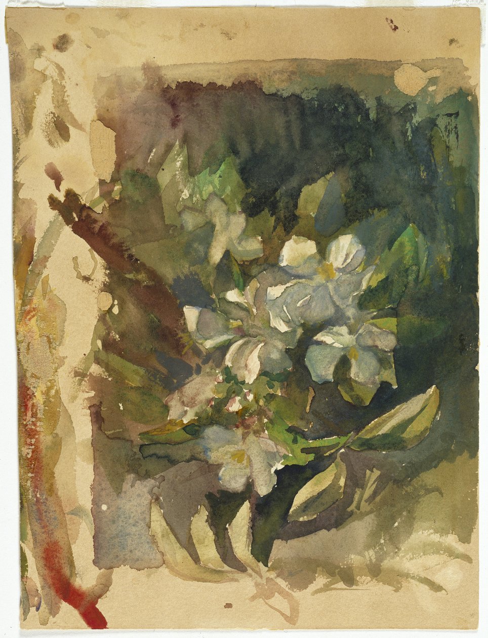 Kwiaty jabłoni w słońcu (wc na papierze) autorstwa John La Farge or Lafarge