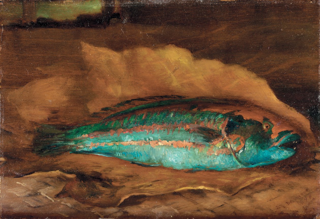Badanie papugoryby, Samoa, 1890 autorstwa John La Farge or Lafarge