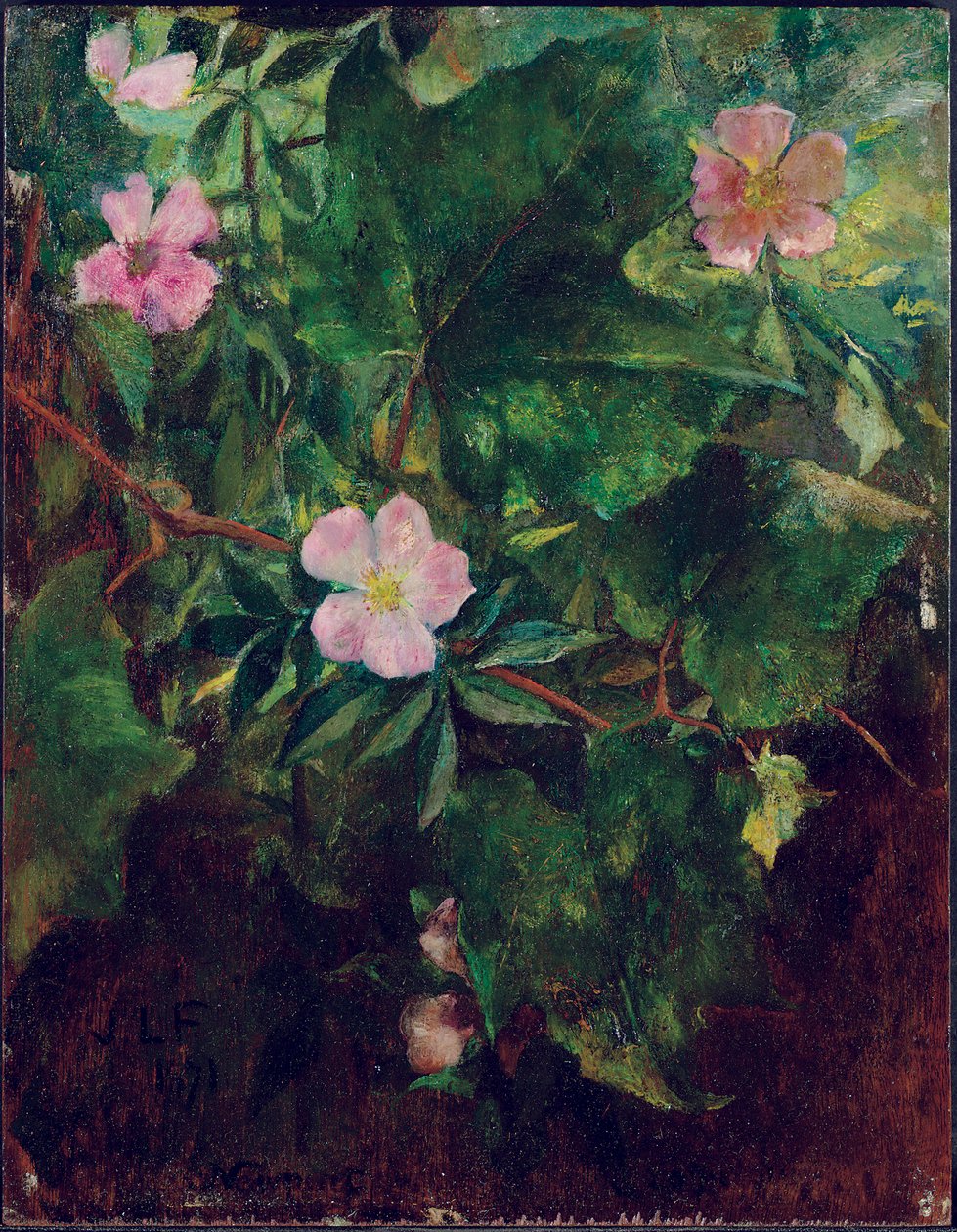 Dzika róża i winorośl, studium natury, 1871 autorstwa John La Farge or Lafarge