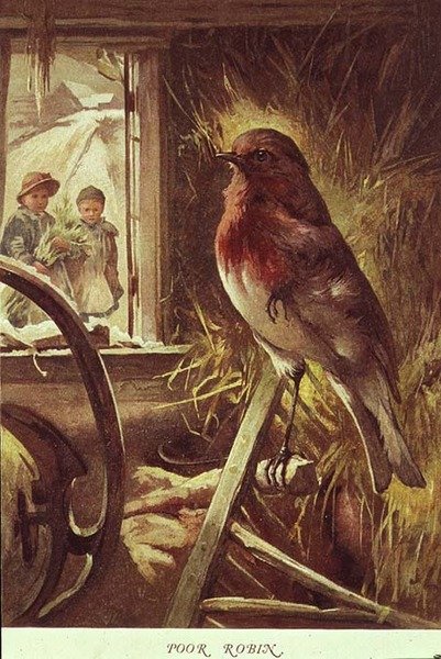 Biedny Robin, ilustracja z „Doliny dzieciństwa” autorstwa Paula Lawsona autorstwa John Lawson
