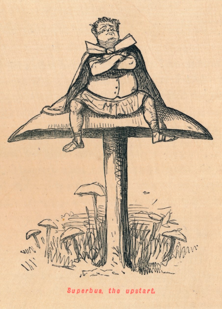Superbus, nowicjusz, 1852 autorstwa John Leech
