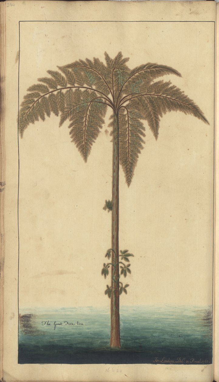 Strona z „Elegancies of Jamaica”, 394 autorstwa John Lindsay