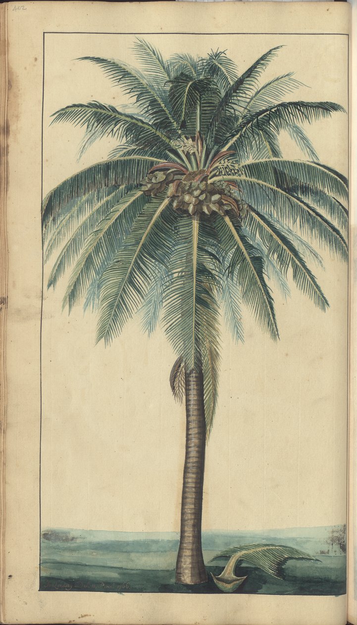 Strona z „Elegancies of Jamaica”, 402 autorstwa John Lindsay