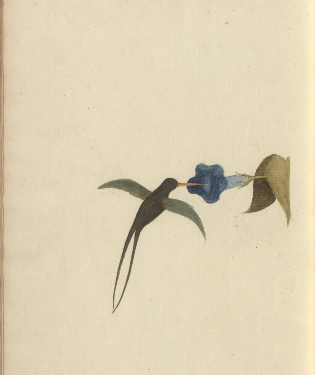 Strona z „Elegancies of Jamaica”, tom V, 22 autorstwa John Lindsay
