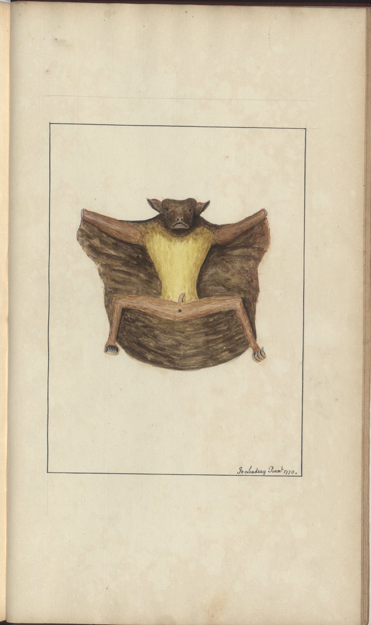 Strona z „Elegancies of Jamaica”, tom V, 26 autorstwa John Lindsay