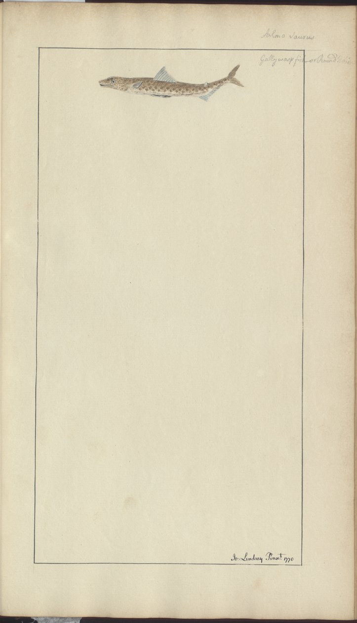 Rysunki Lindsay tom. VII, 23 autorstwa John Lindsay