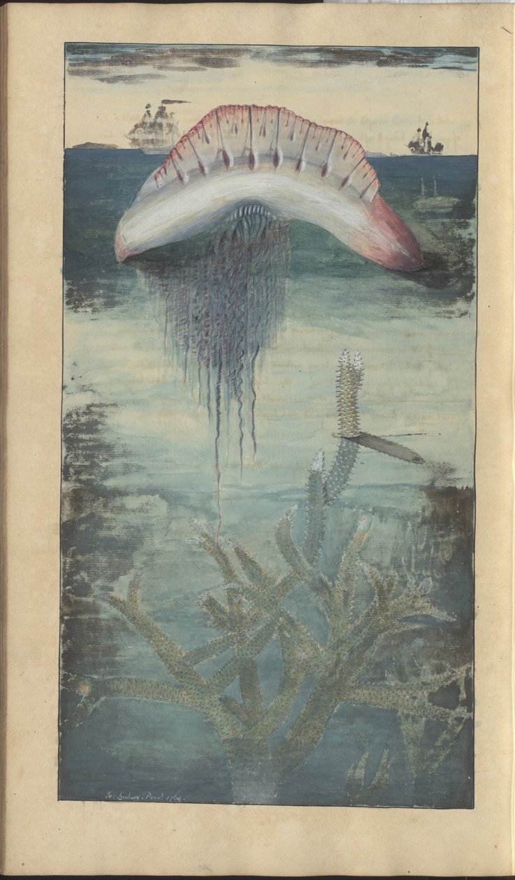 Rysunki Lindsay tom. VII, 30 autorstwa John Lindsay