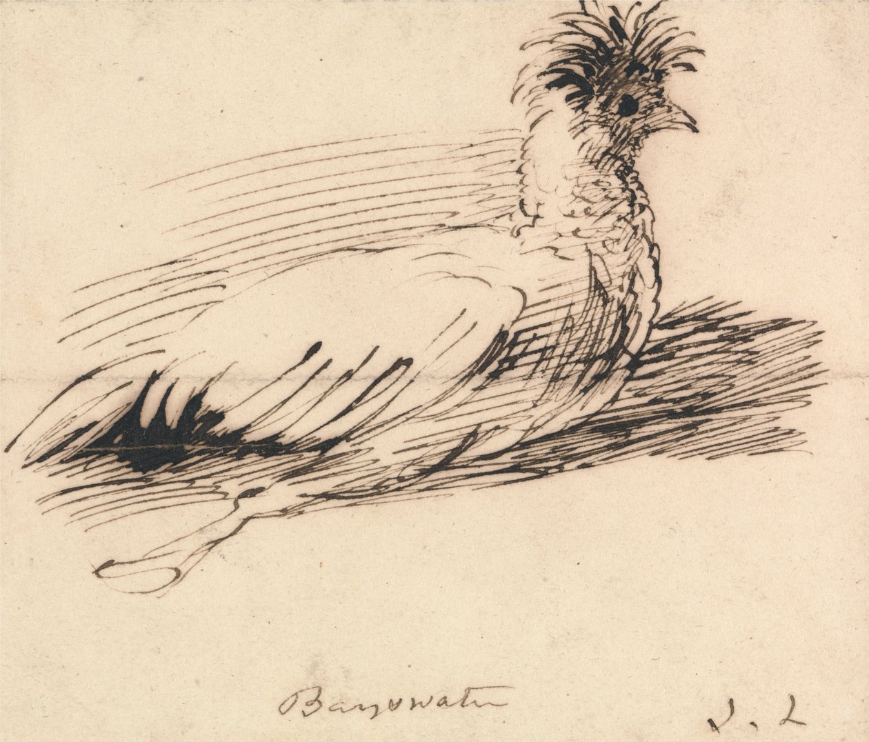 Kura autorstwa John Linnell