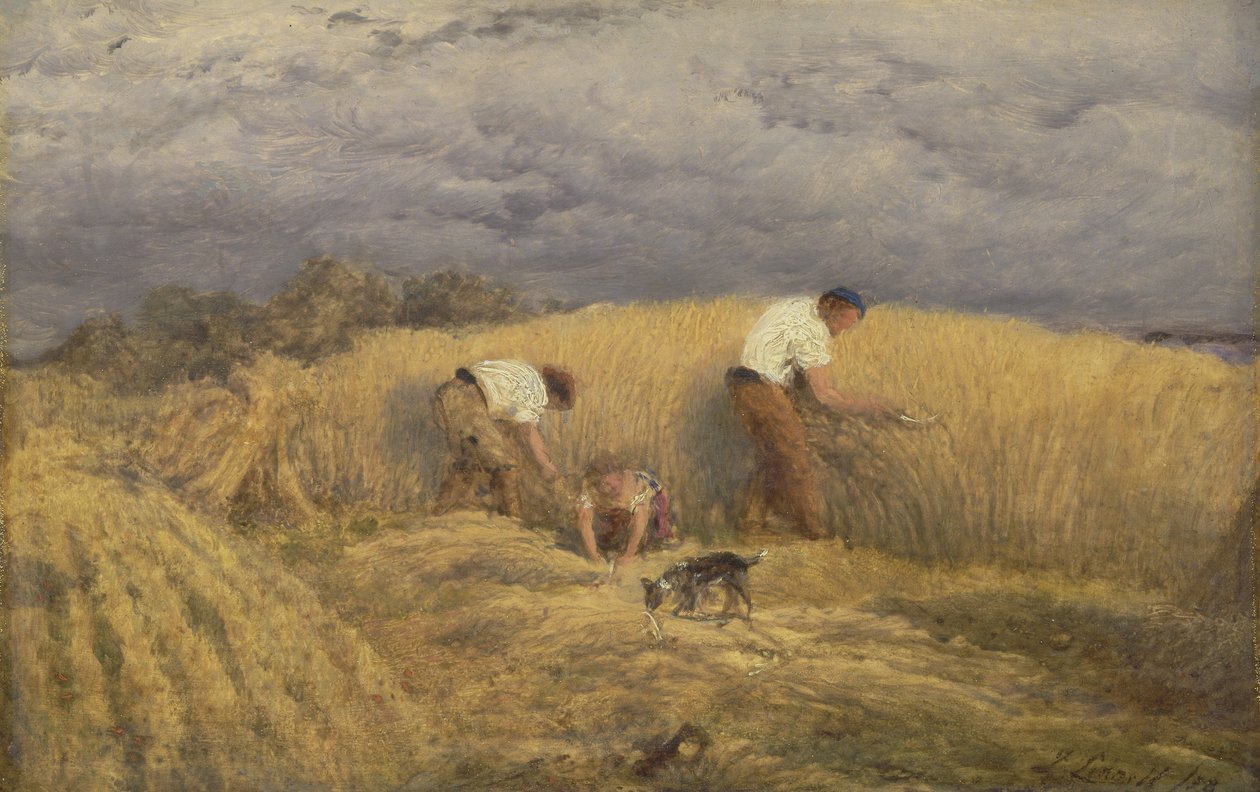 Skończone studium dla „Żniwa” autorstwa John Linnell