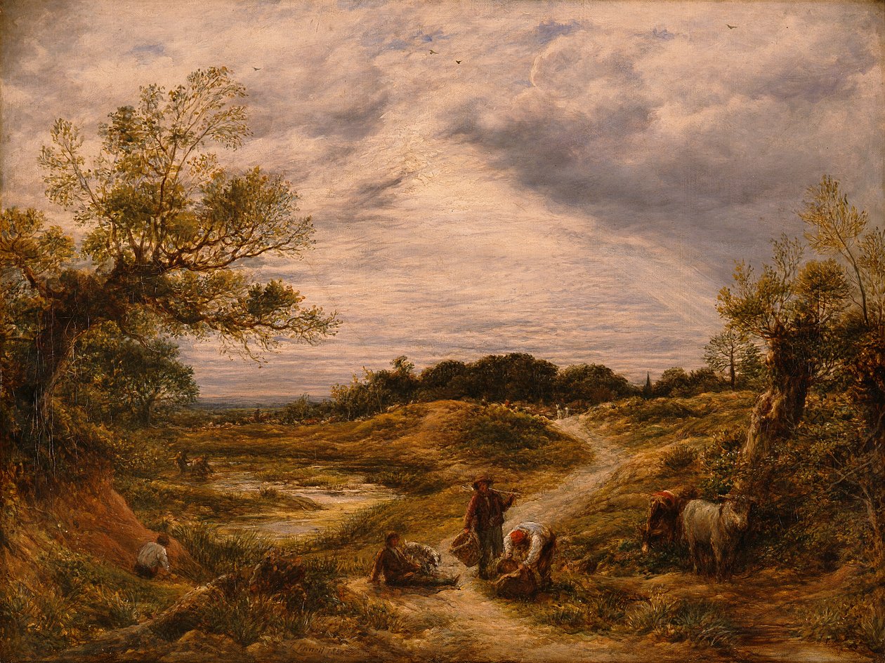 Hampstead Heath, ok. 1855-56 (olej na płótnie) autorstwa John Linnell