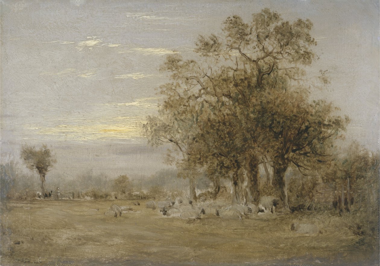 Wypas owiec autorstwa John Linnell