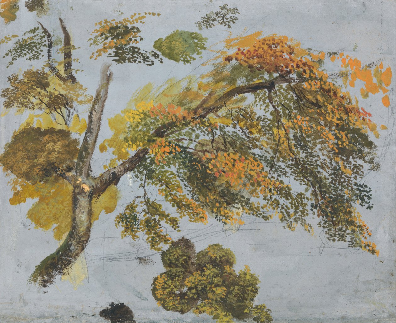 Baumstudie (Herbstlaub) autorstwa John Linnell