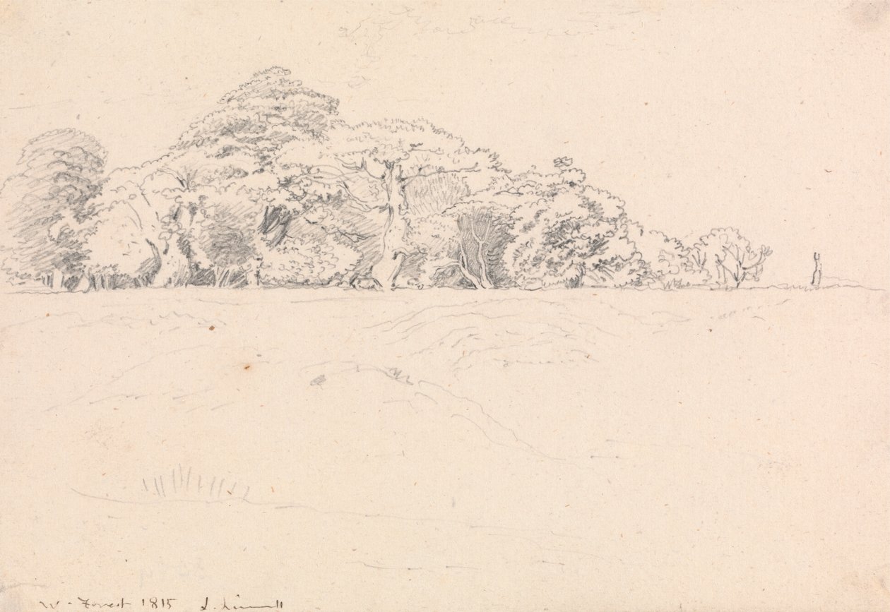 Las Windsorski autorstwa John Linnell