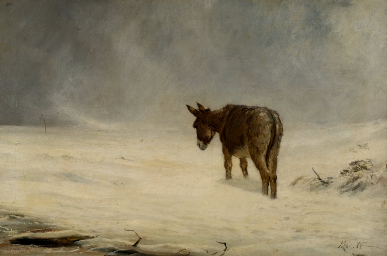 Osioł w śniegu autorstwa John MacWhirter