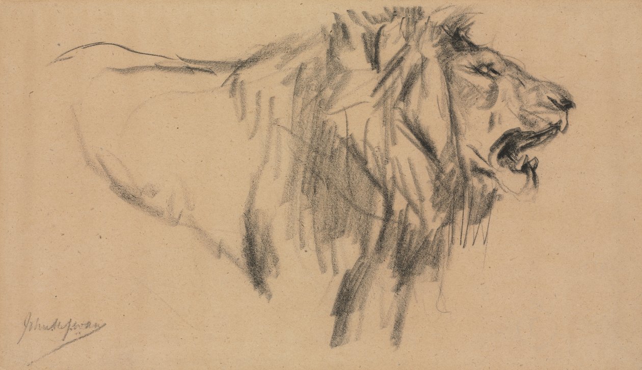 Lew autorstwa John Macallan Swan