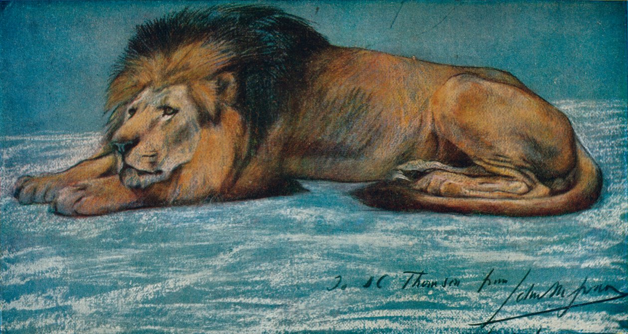 Pastelowe studium lwa, ok. 1900 autorstwa John Macallan Swan
