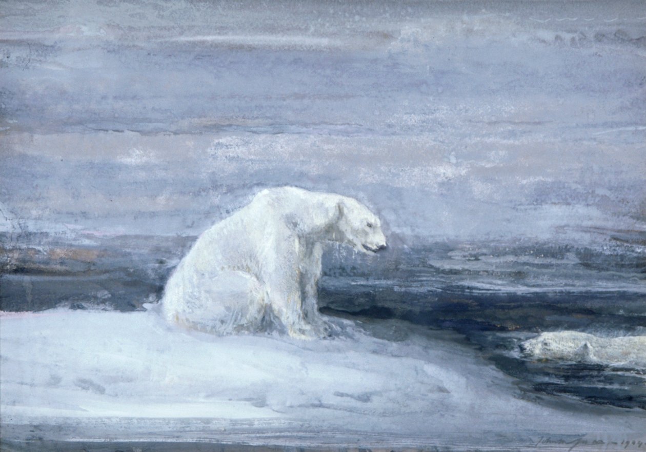 „Niedźwiedzie polarne wypatrujące fok w lodowej dziurze”, c1867-1910 autorstwa John Macallan Swan