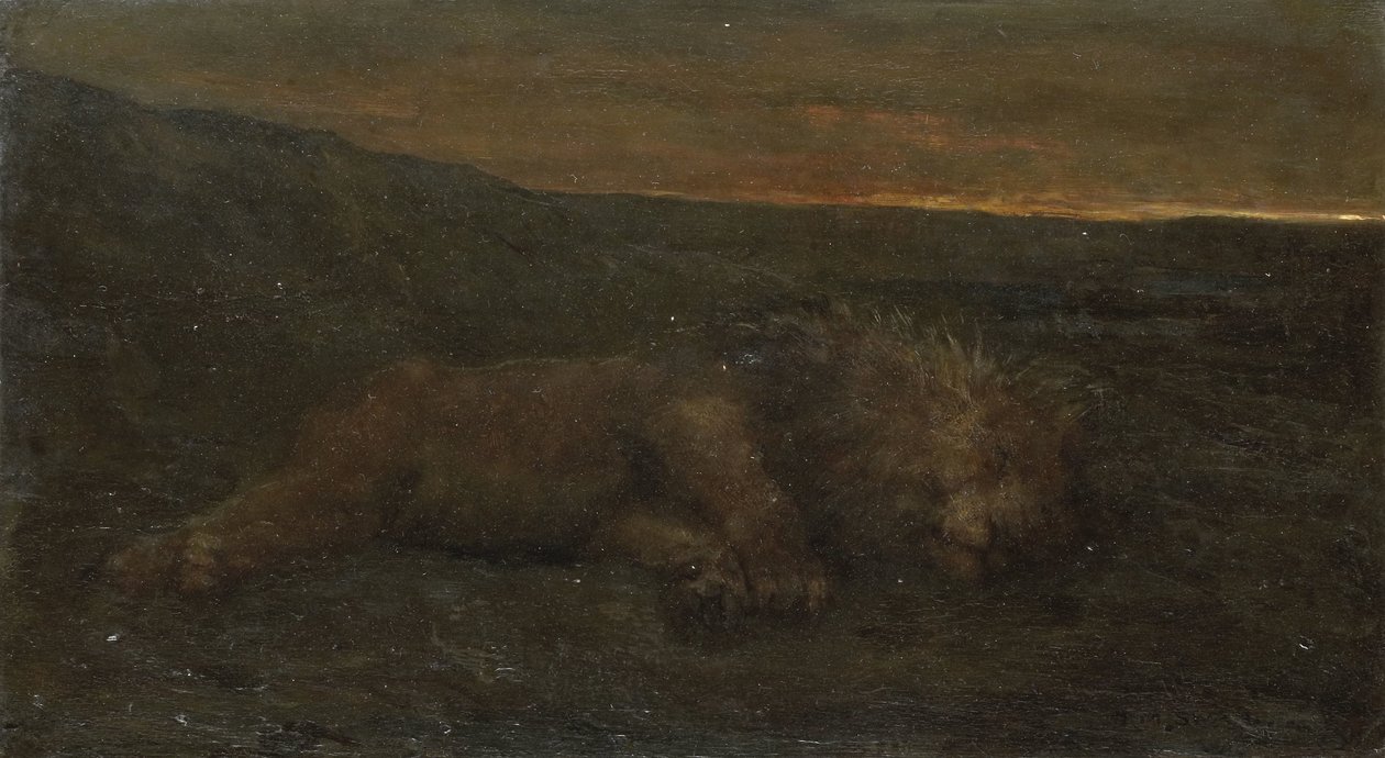 Śpiący lew nocą autorstwa John Macallan Swan